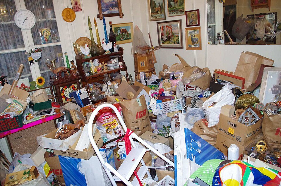hoarder cleanouts